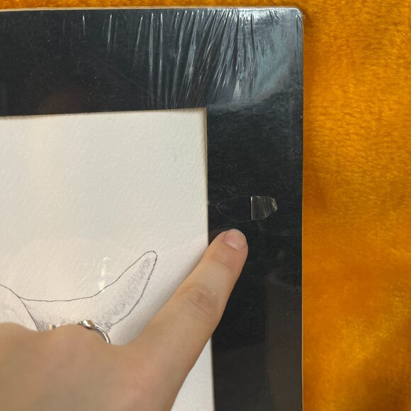 Vintage 1974 Labrador Sketch - Picture 4 of 8